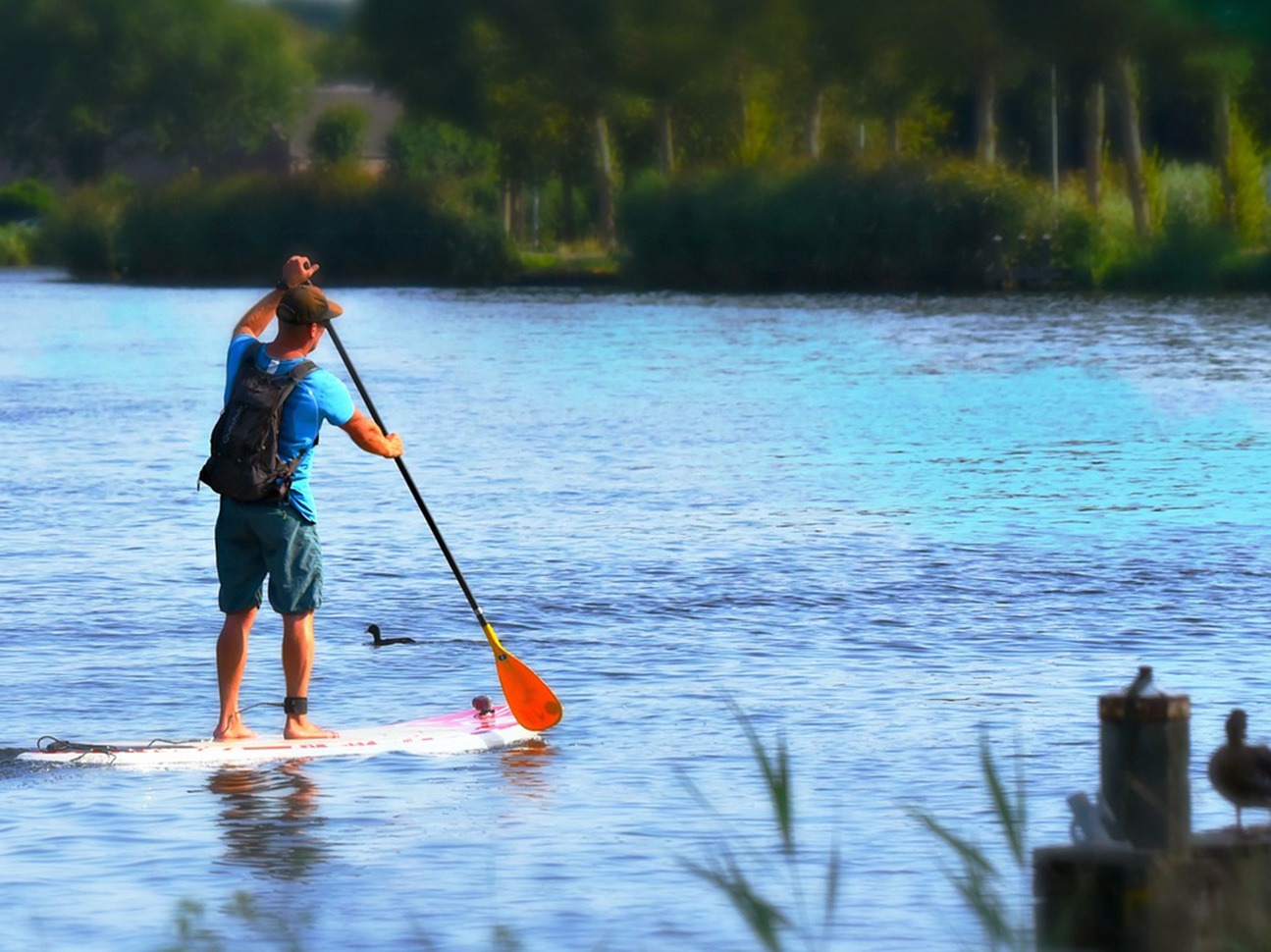Randonnée en paddle sur le canal de l'Ourcq à Meaux