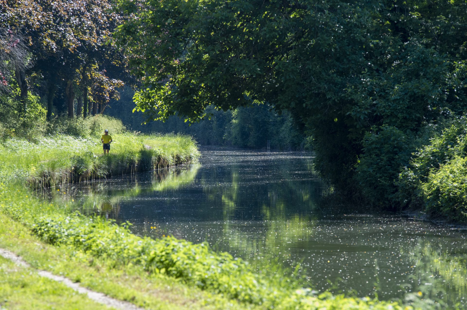 Les bord du canal à Villers-lès-Rigault