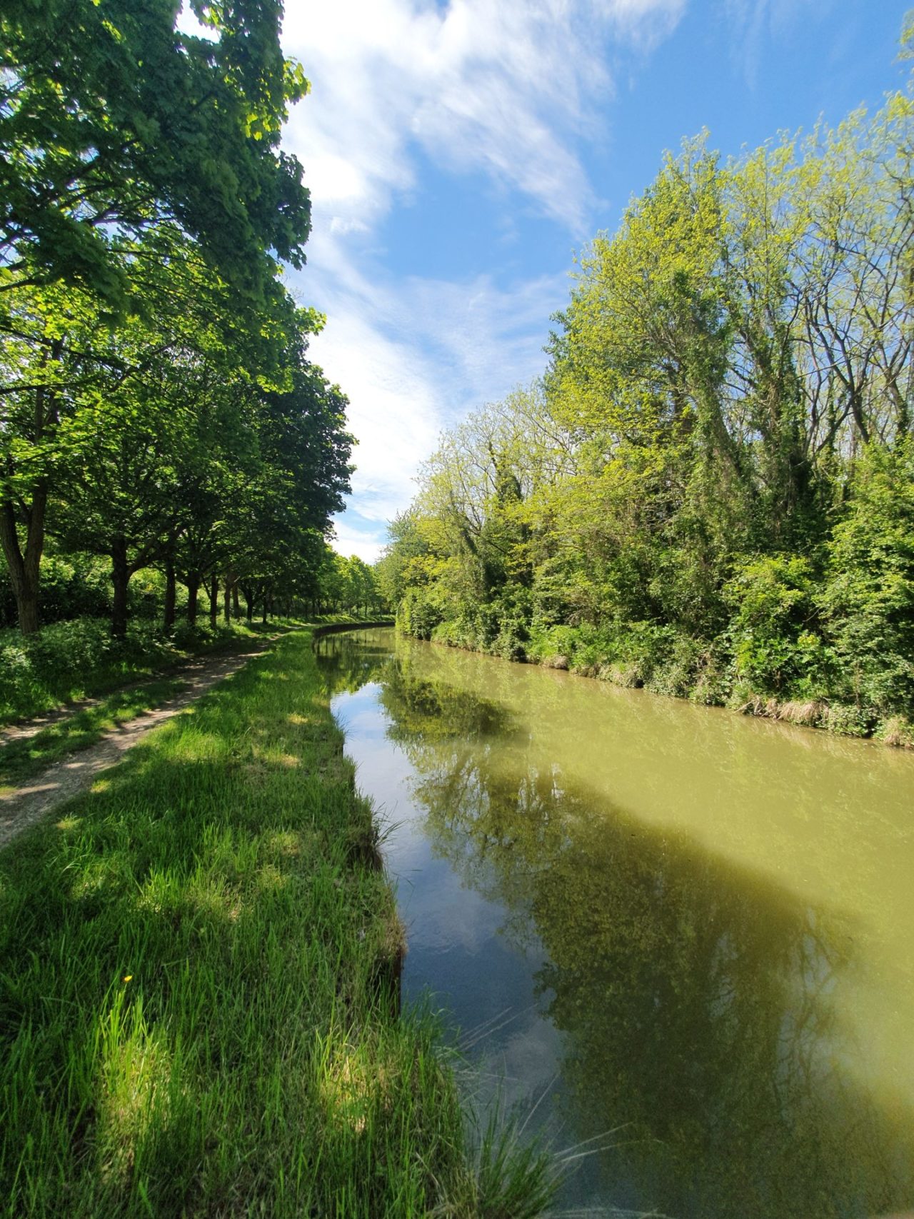 Canal de Congis-sur-Thérouanne