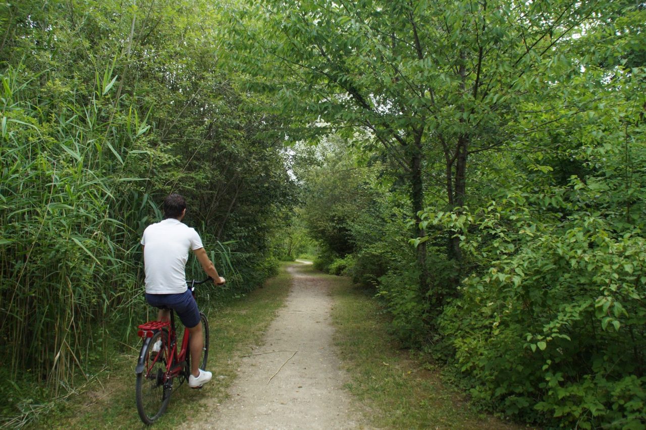 Cycliste dans le parc Naturel du Pâtis