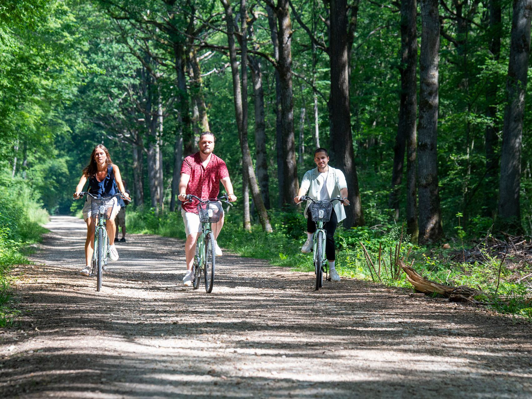Vélo en forêt de Montceaux